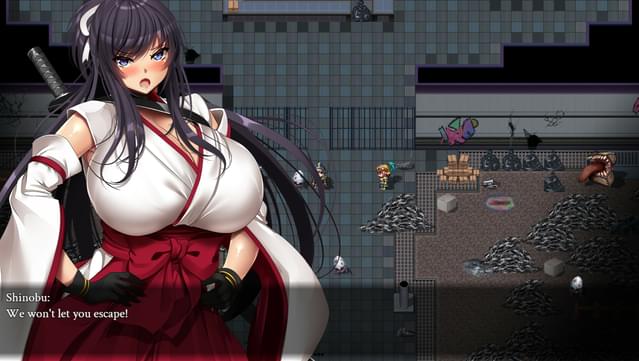 Kunoichi Demon Slayers Gameplay Screenshot
